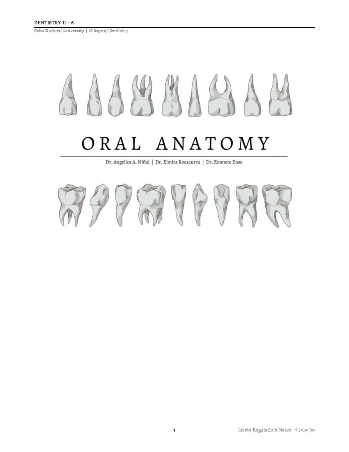 DENTISTRY II A Lecture Notes: Tooth Anatomy & Classification - Studocu