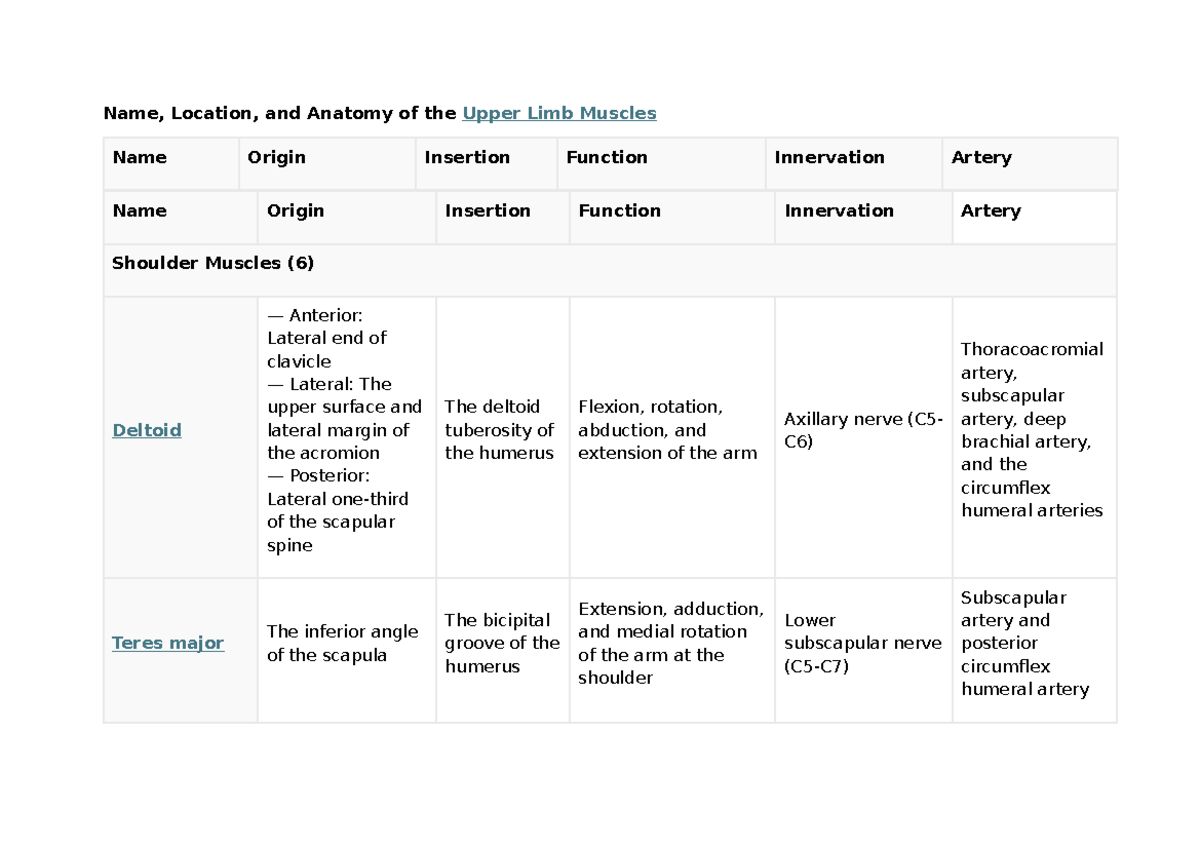 muscles - origin insertion and actions - Name, Location, and Anatomy of ...