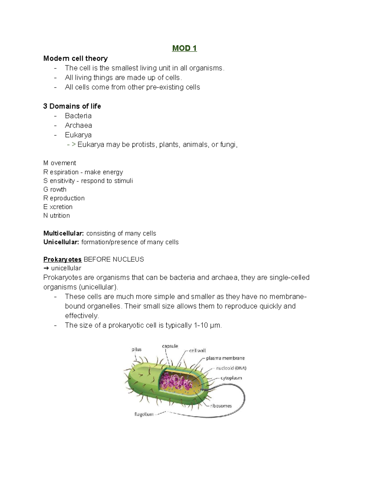 Year 11 Biology Notes: Modern Cell Theory and Organism Diversity - Studocu