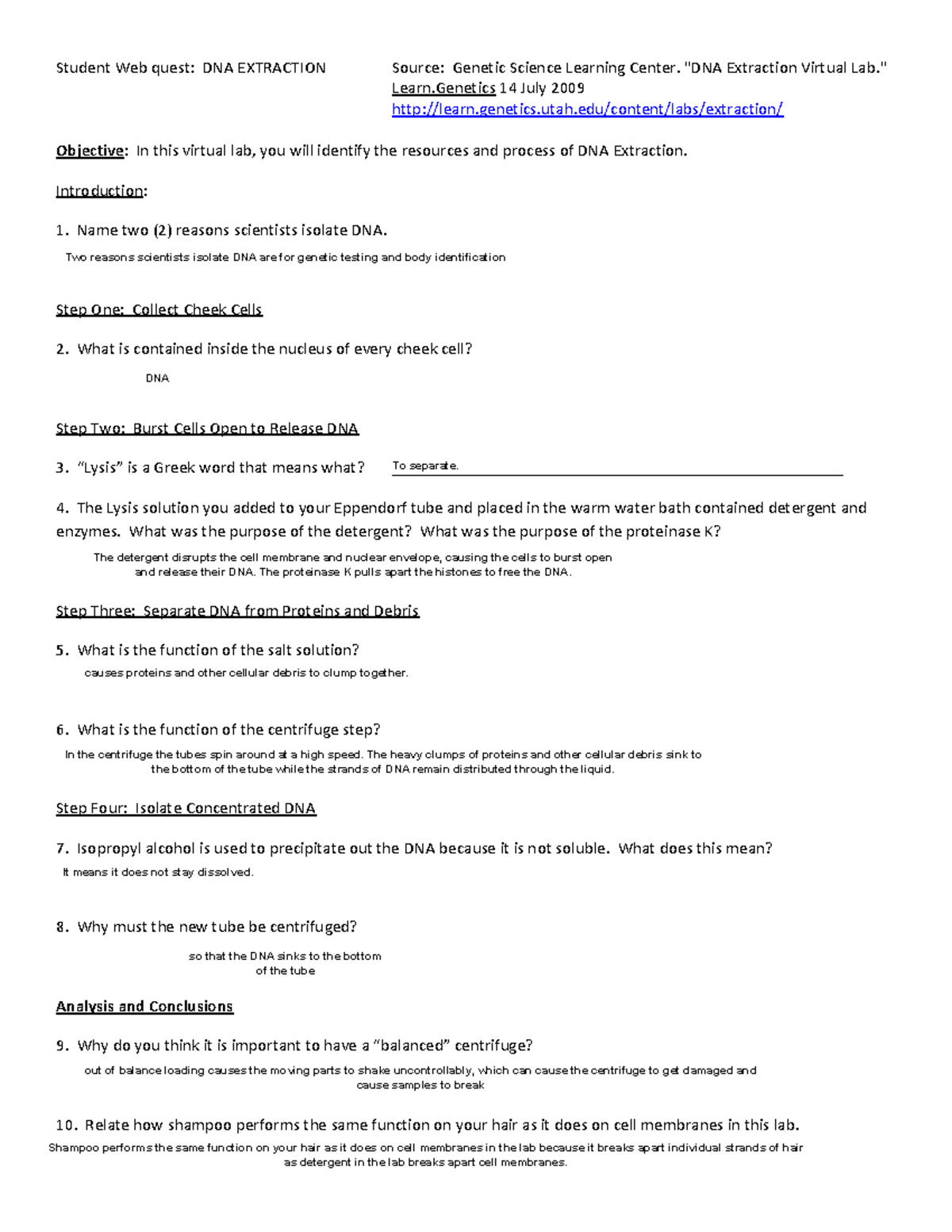 DNA Extraction Lab Guide - BIO 100 Lab Notes - Studocu