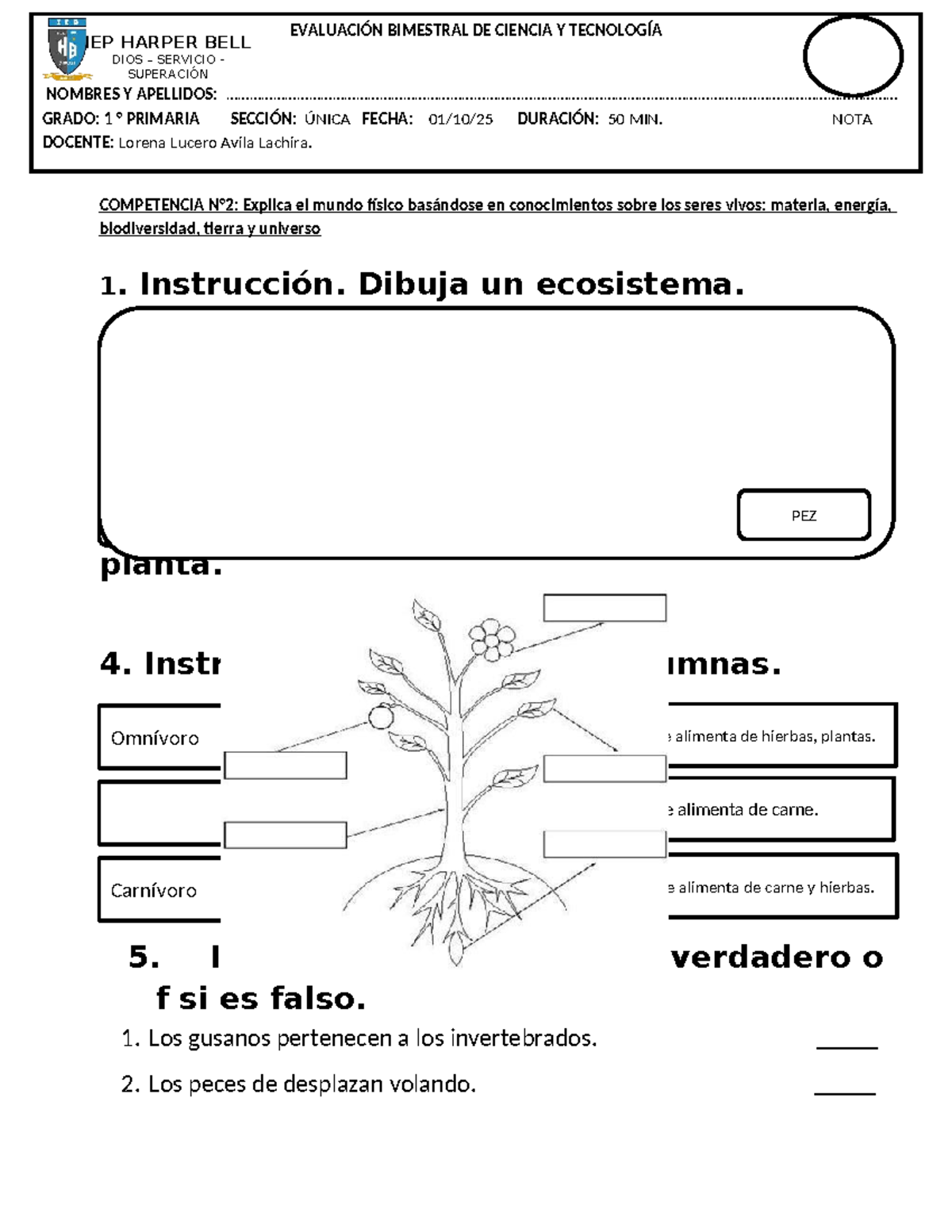 Examen Bimestral de Ciencia y Tecnología - Grado 1 - Studocu