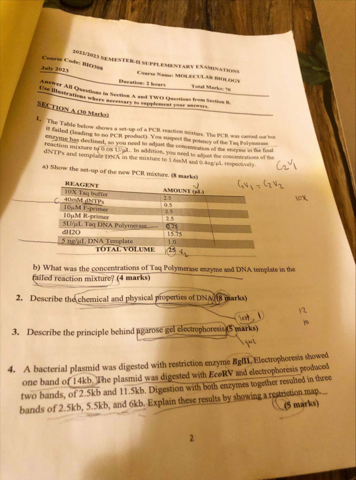 Final Exam Study Guide for PSY 202: Key Concepts and Topics ...