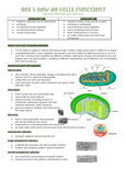 Units 1 and 2 Biology - Grade: 11 - Victorian Certificate of Education ...