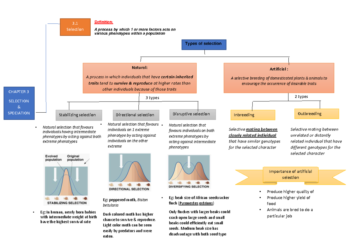 CHAP 3 Selection AND Speciation - 3 types 2 types CHAPTER 3 SELECTION ...