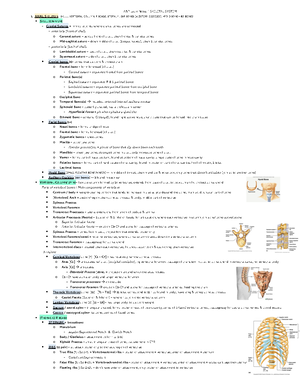 Anatomy & Physiology - final exam study guide - A&P Module 4 Notes ...
