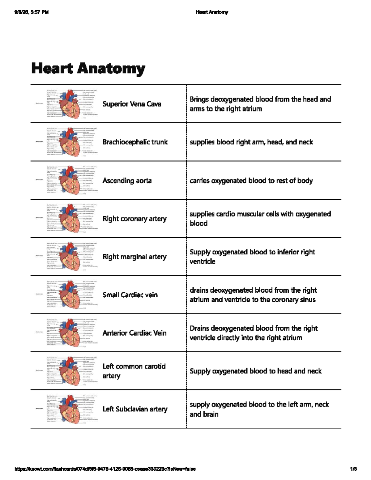 Heart Anatomy Overview - Studocu