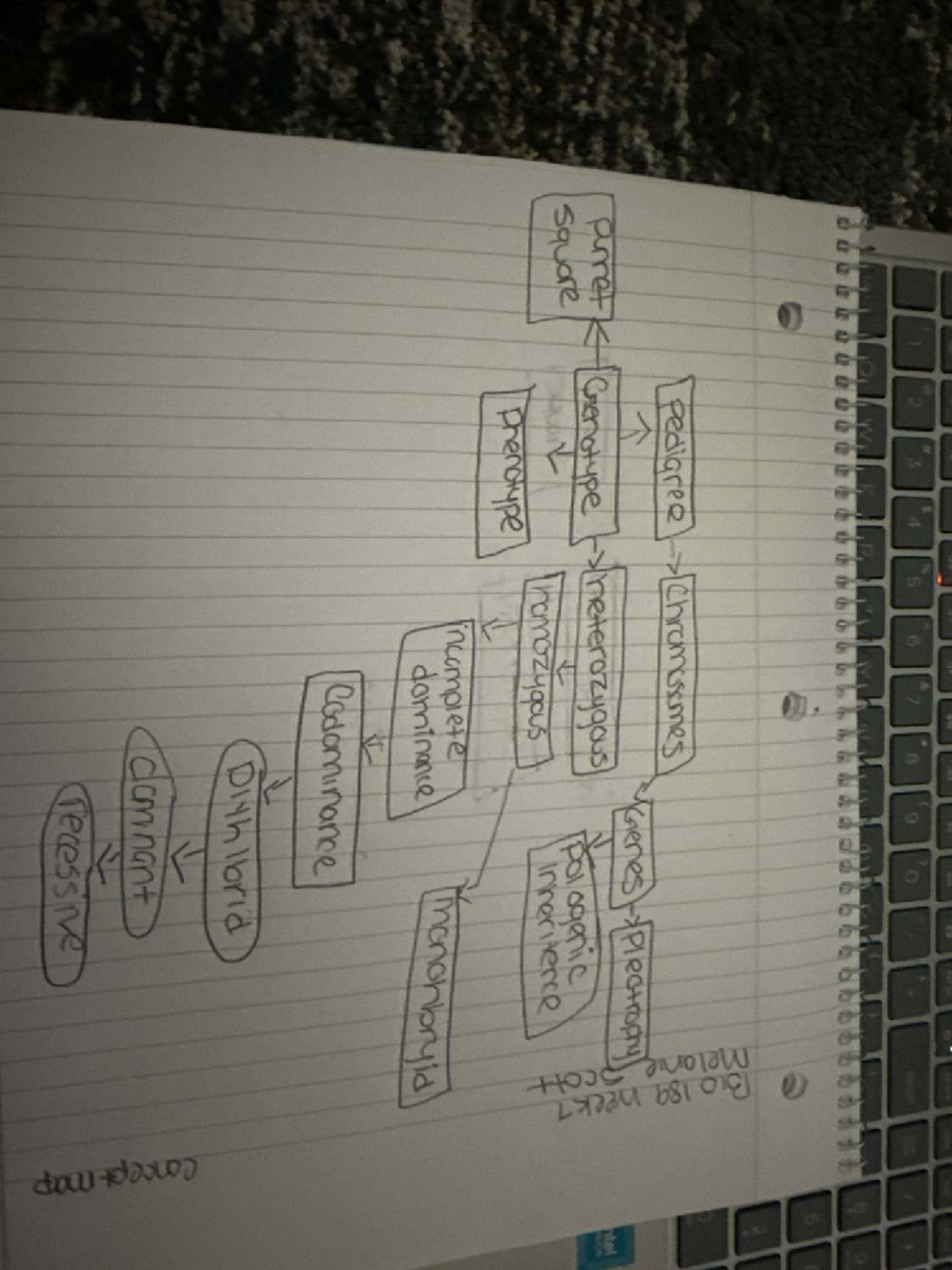 Week 7 concept map - BIOS-150 - pedigree chromosomes Genes Plectrophy ...