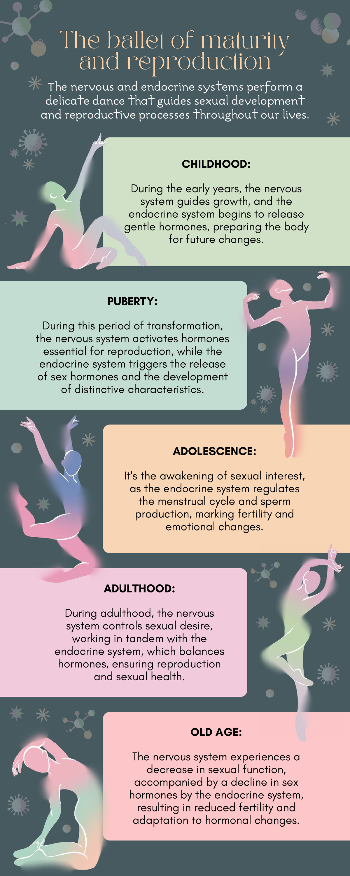 The Dance of Maturity & Reproduction: Nervous & Endocrine Systems ...