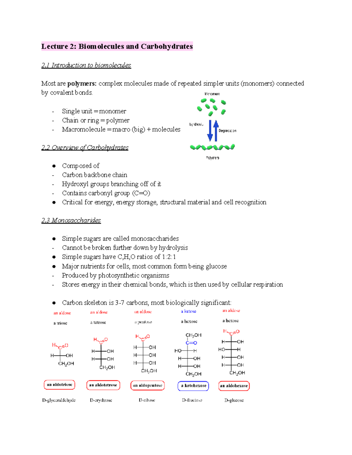 Lecture 2: Biomolecules and Carbohydrates Overview in Bio Unit 1 - Studocu
