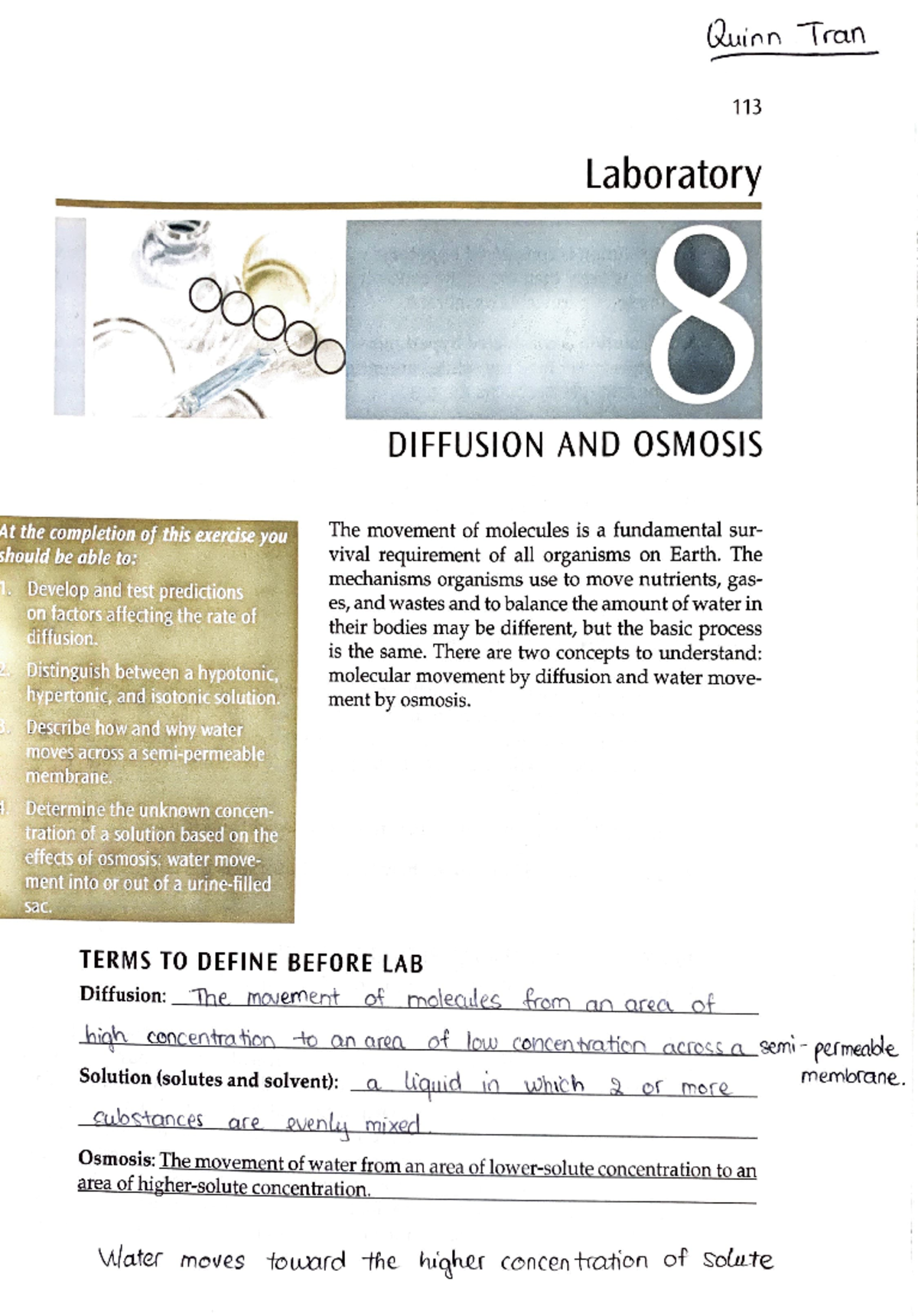 Diffusion and Osmosis Lab Report 8 - Tran's Study Notes - Studocu