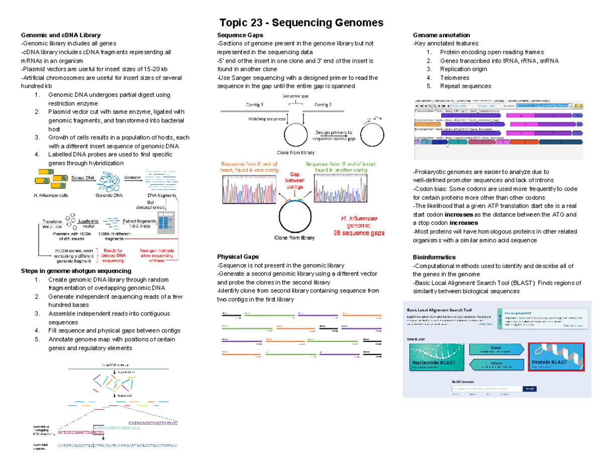 Biochem Cheat Sheet 23: Genome Sequencing & Annotation Techniques - Studocu