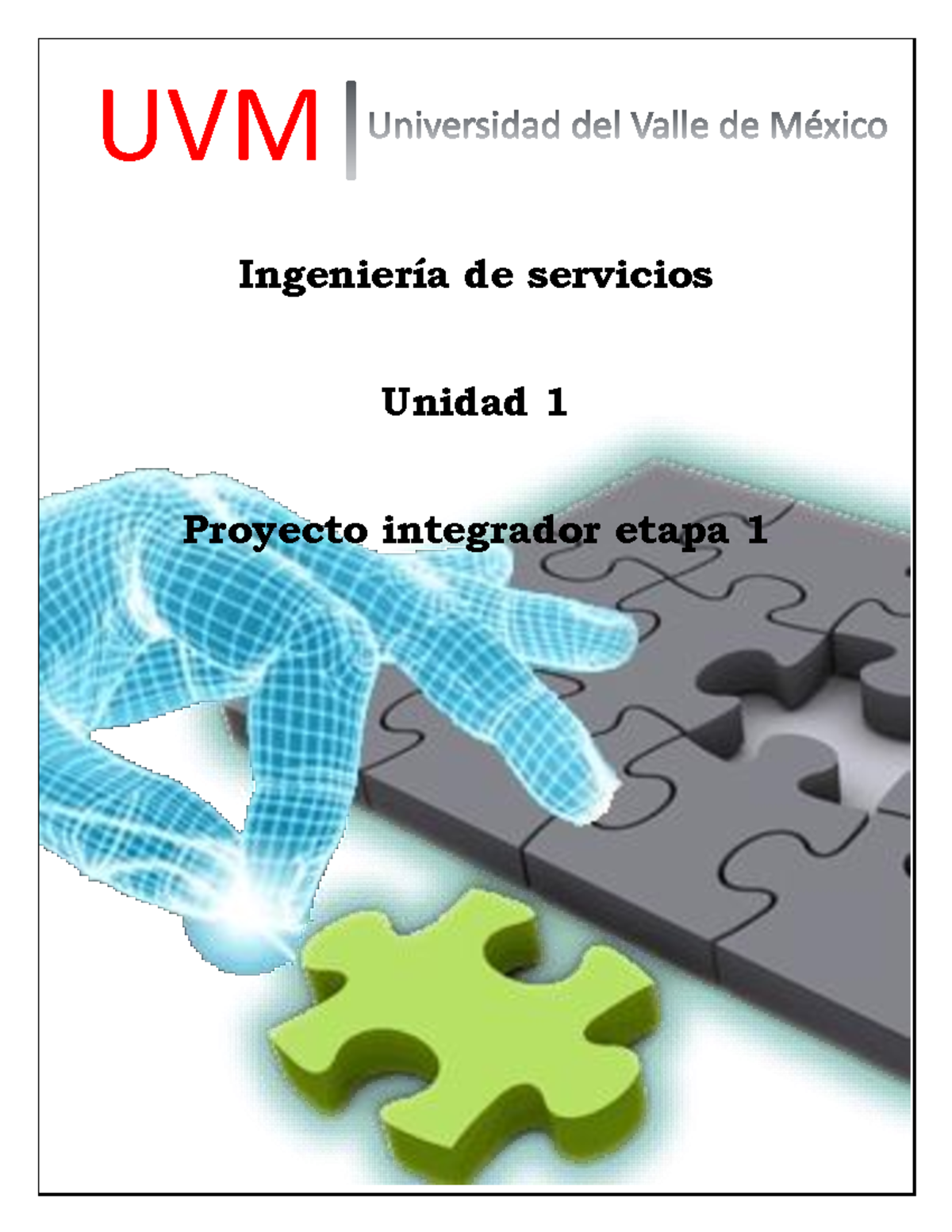 Proyecto Integrador 1: Análisis de Southwest Airlines en Ingeniería de ...