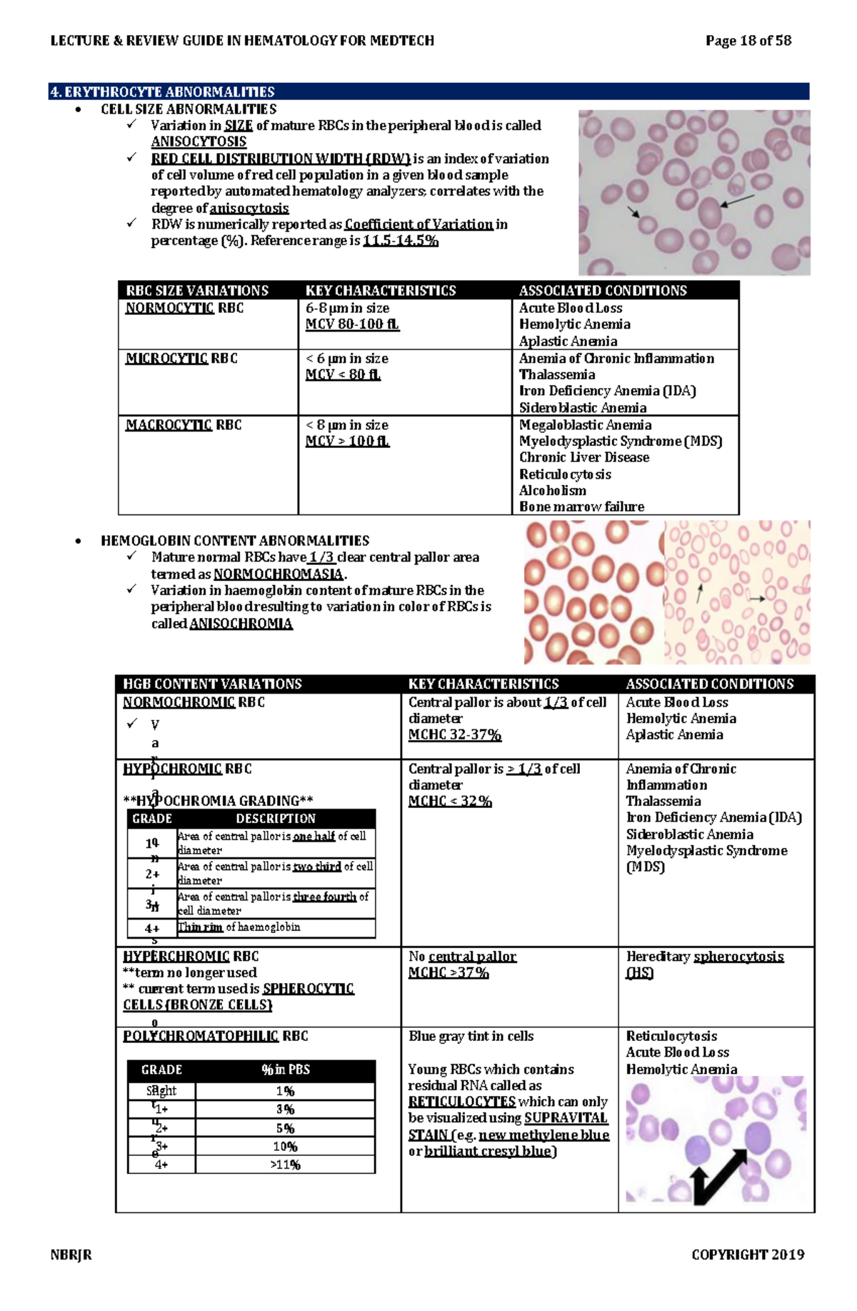 RBC Anomalies Overview: Variations in Size, Content & Shape - Studocu