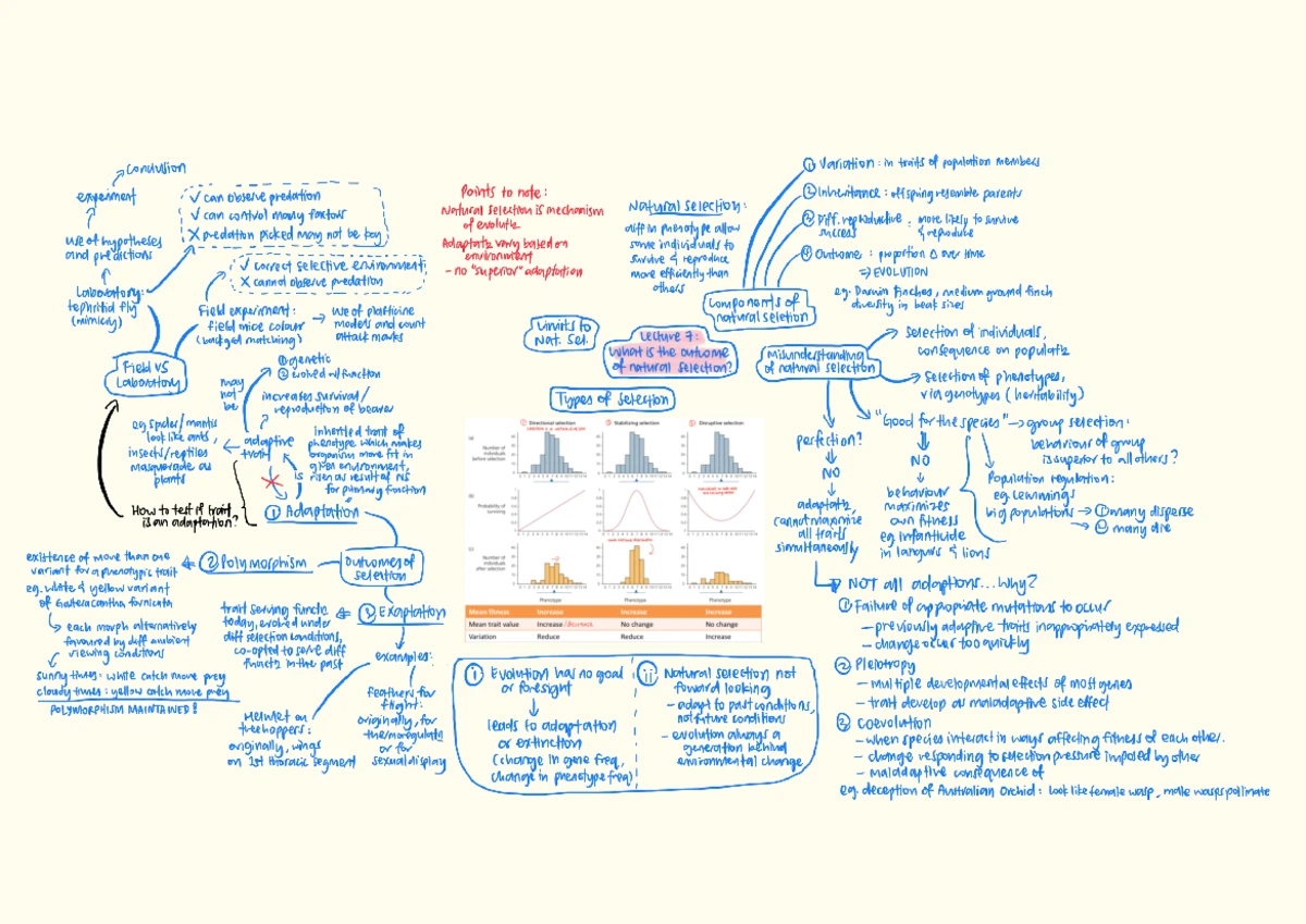 2107 Lecture 3 - Evolution of Life: Summary and Key Concepts - Studocu
