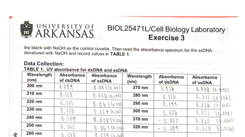 Biology Lab 3: Absorbance Spectrum of dsDNA ssDNA UARK Studocu