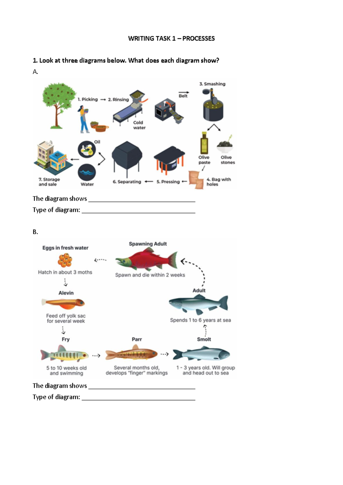 W1 Process Handout: Smoked Fish Production Overview - Studocu