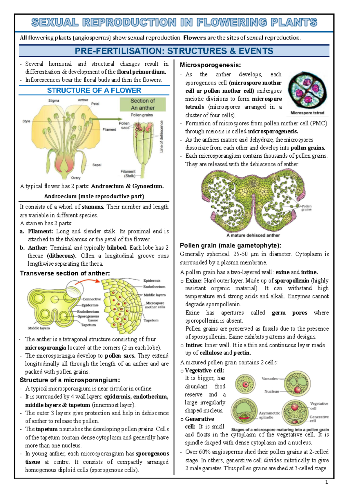 Biology Chapter 1: Sexual Reproduction in Flowering Plants Overview ...