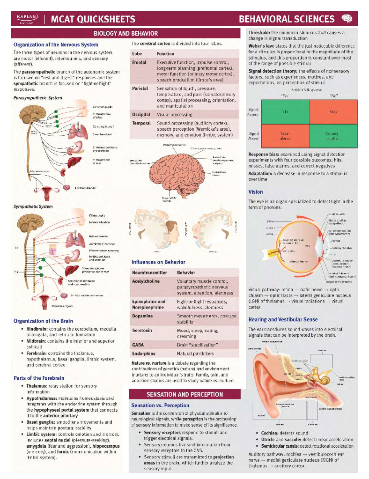 **Title: 01_MCAT_QS_BehavSci: Comprehensive Overview of Cognition ...