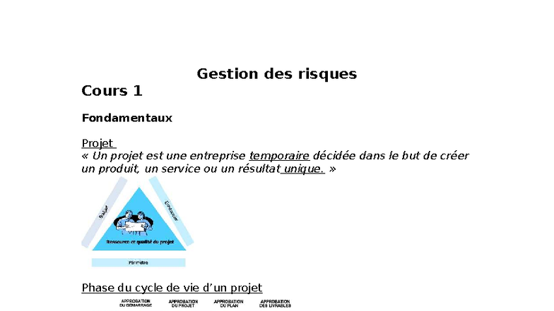 Gestion des risques - Cours 1 à 3: Fondamentaux et Stratégies - Studocu