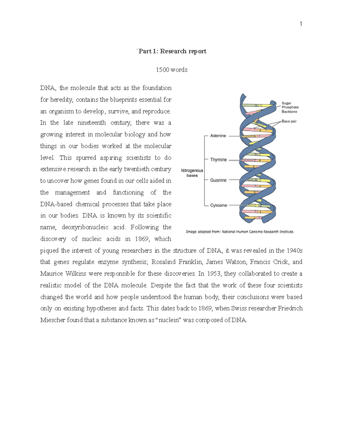 BIO 401: Research Report on DNA Structure and Replication Mechanisms ...