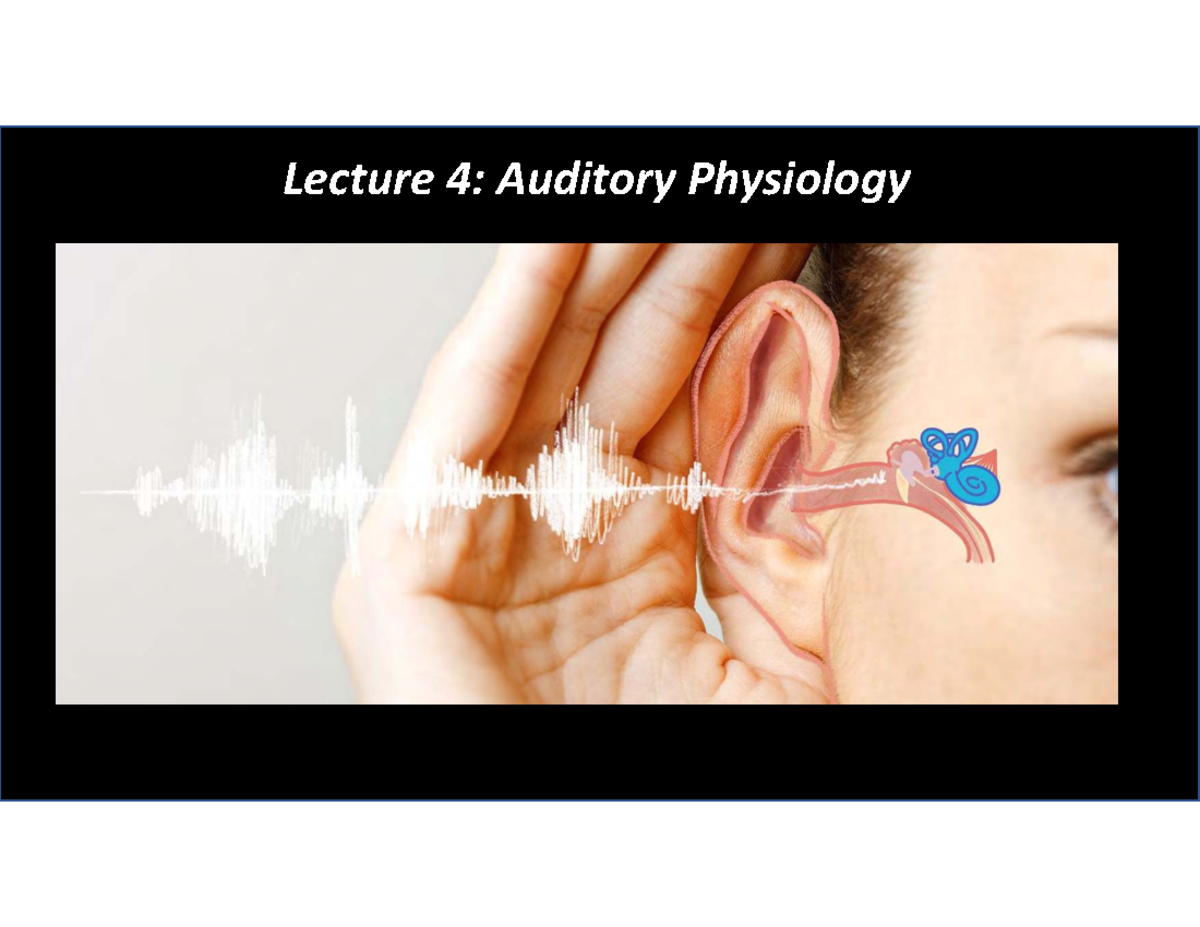 Lecture 4: Auditory Physiology and the Nervous System - Studocu