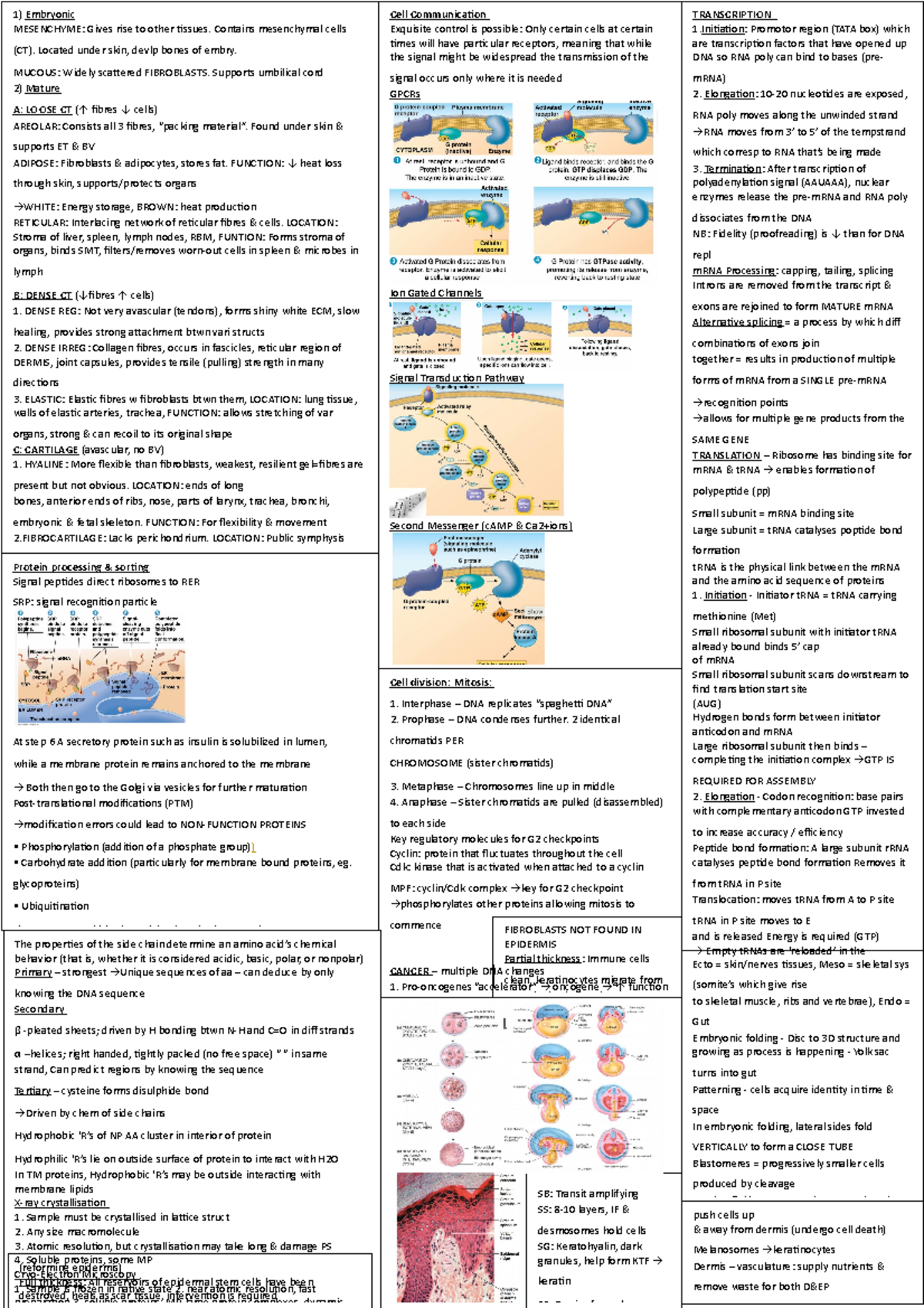 Biosci 107 cheat sheet mid term test - TRANSCRIPTION 1: Promotor region ...