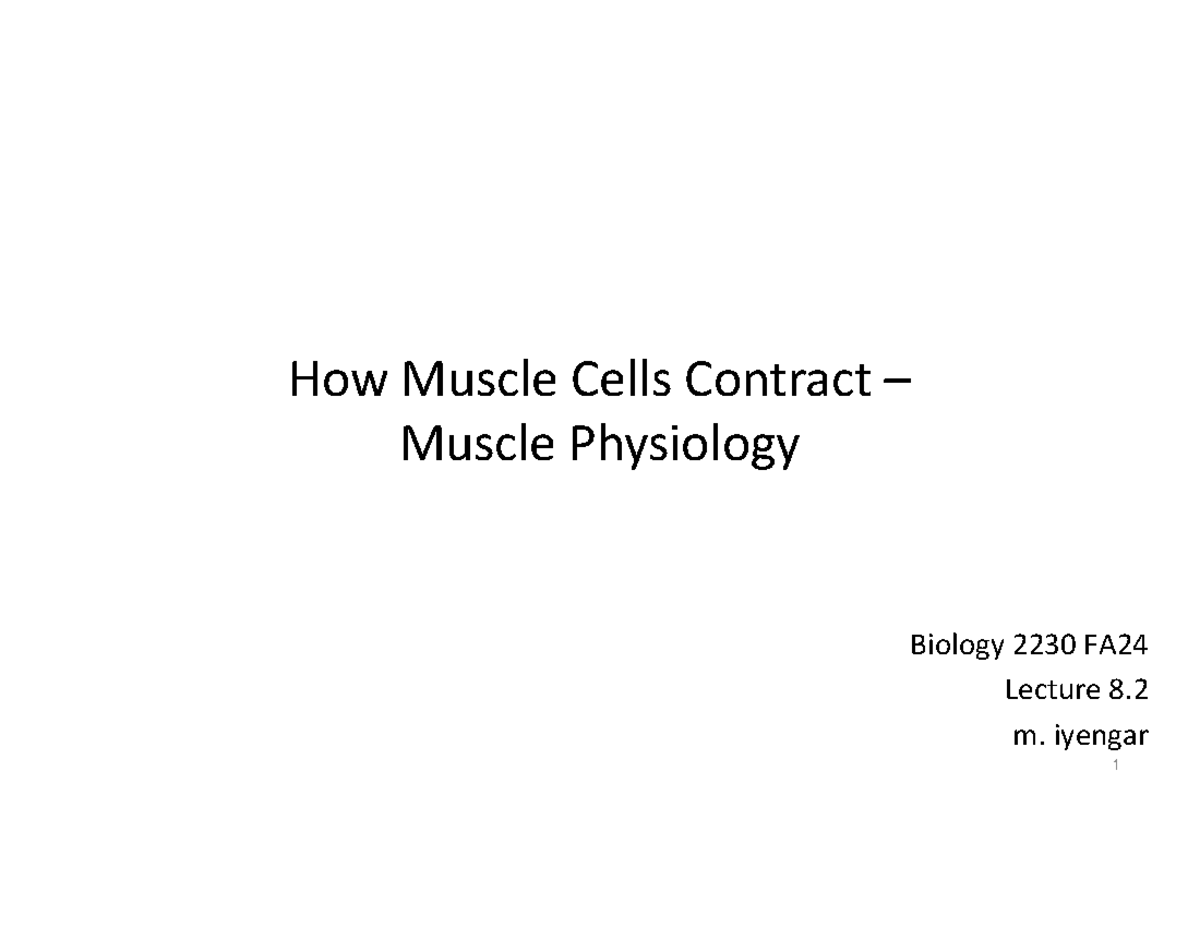 Biology 2230 FA24 Lecture 8.2: Muscle Cell Contraction - Studocu