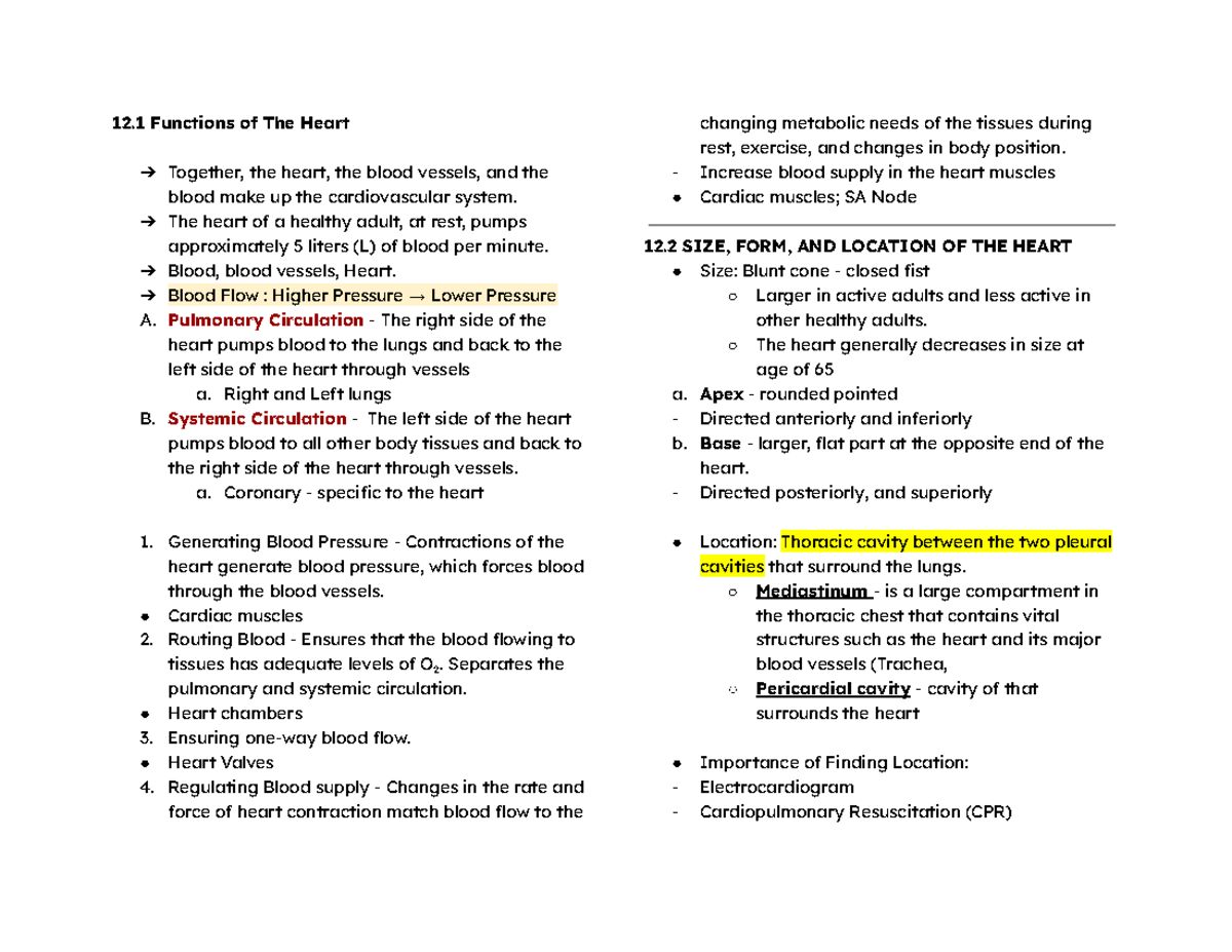Anaphy 101 - Comprehensive Notes on Heart & Cardiovascular System - Studocu