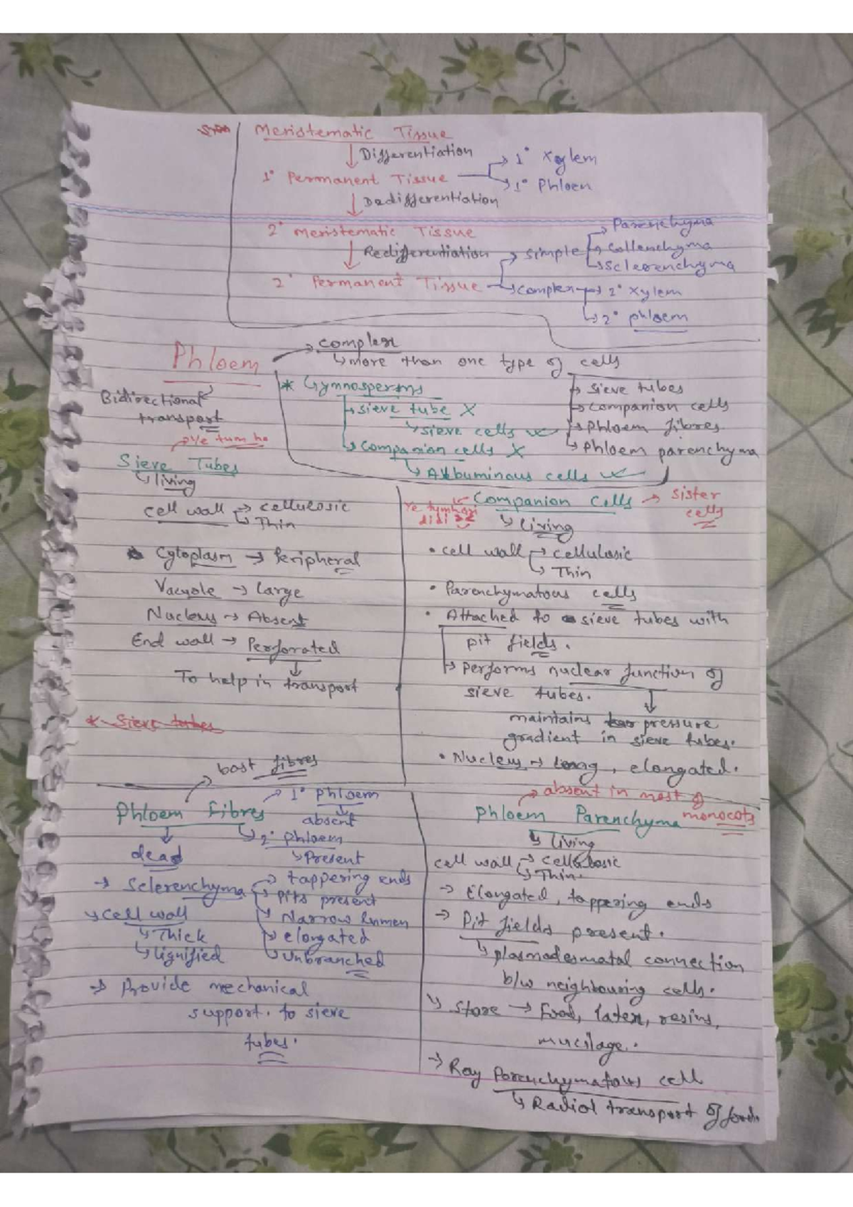 Animal Tissue - Short Notes for BIO 101 Final Exam - Studocu
