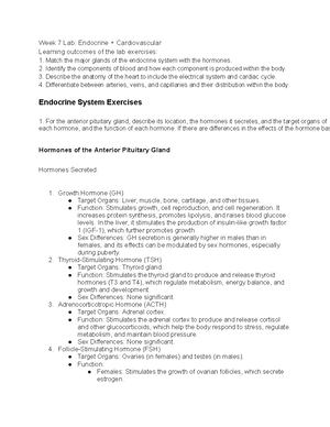 Connective Tissue Types and Functions - Chapter 4 Tissue Structure ...