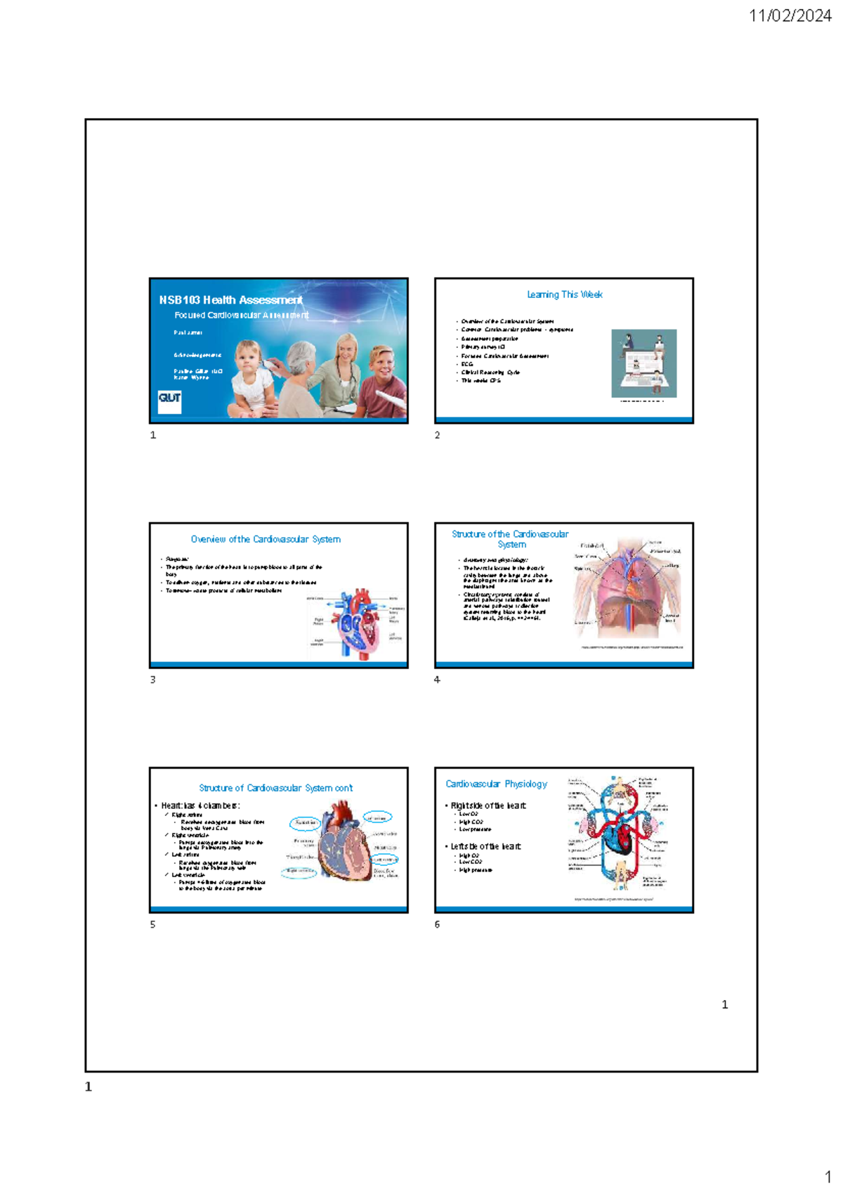 NSB103 Focused Cardiovascular Assessment Lecture Notes - Studocu
