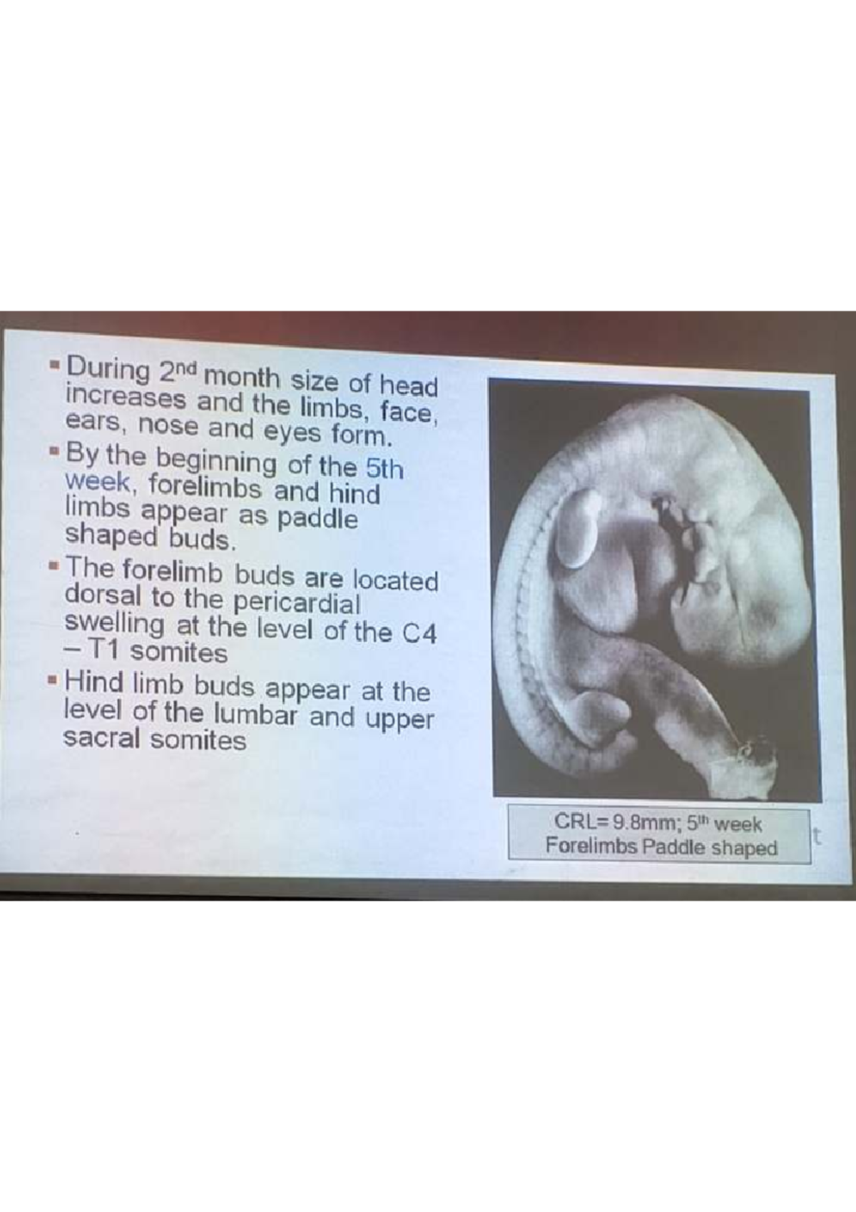 Embryonic Development Stages: Weeks 2-9 (Course Code: BIO101) - Studocu