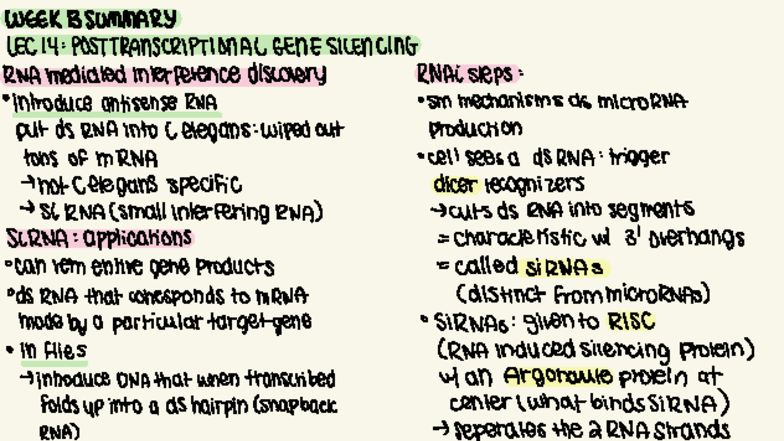 WEEK 13 LEC 14 SUMMARY: POSTTRANSCRIPTIONAL GENE SILENCING IN BIOL 200 ...
