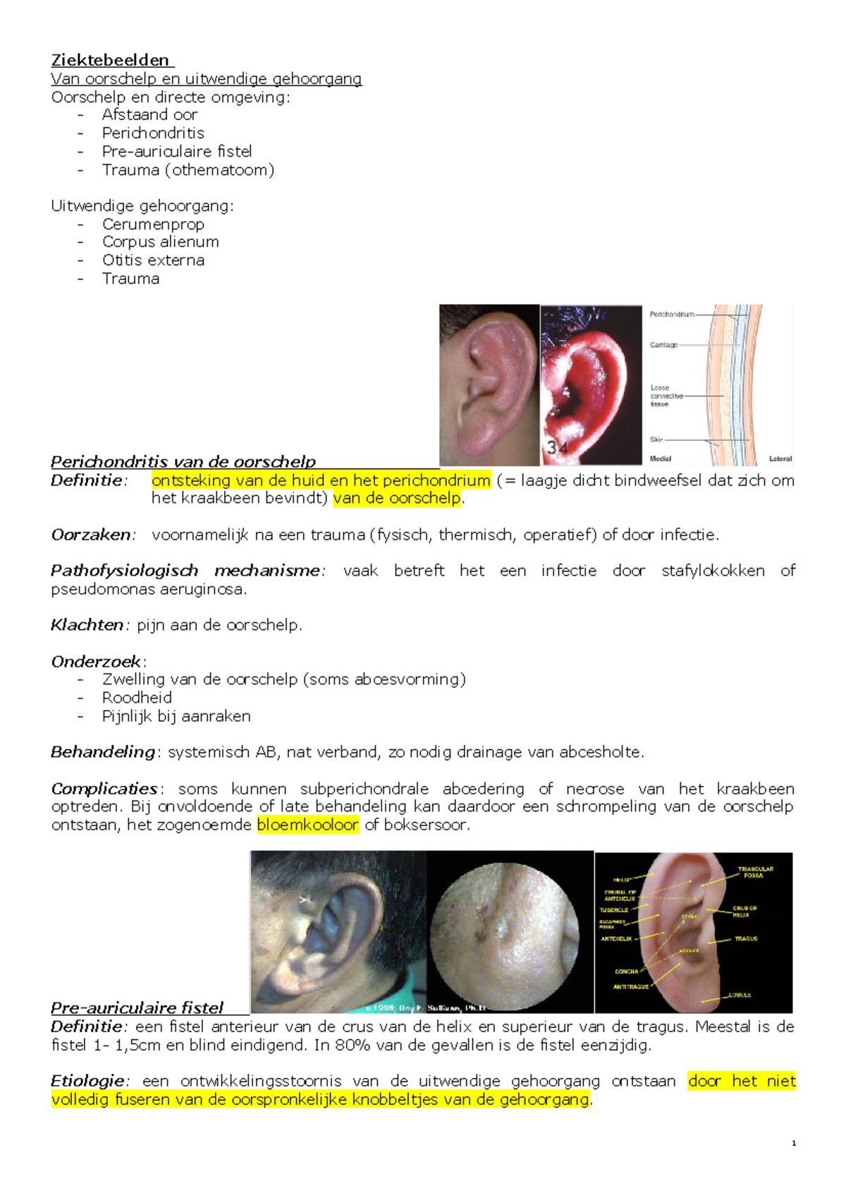 Ziektebeelden KNO: E-learning Materiaal voor Celbiologie Stud ...