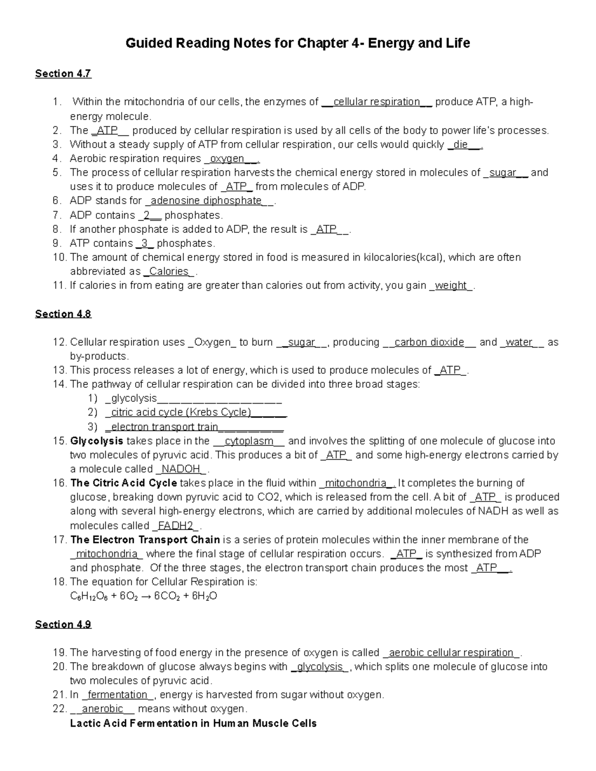 CH 4 Guided Reading Notes - Energy and Life Homework Insights - Studocu