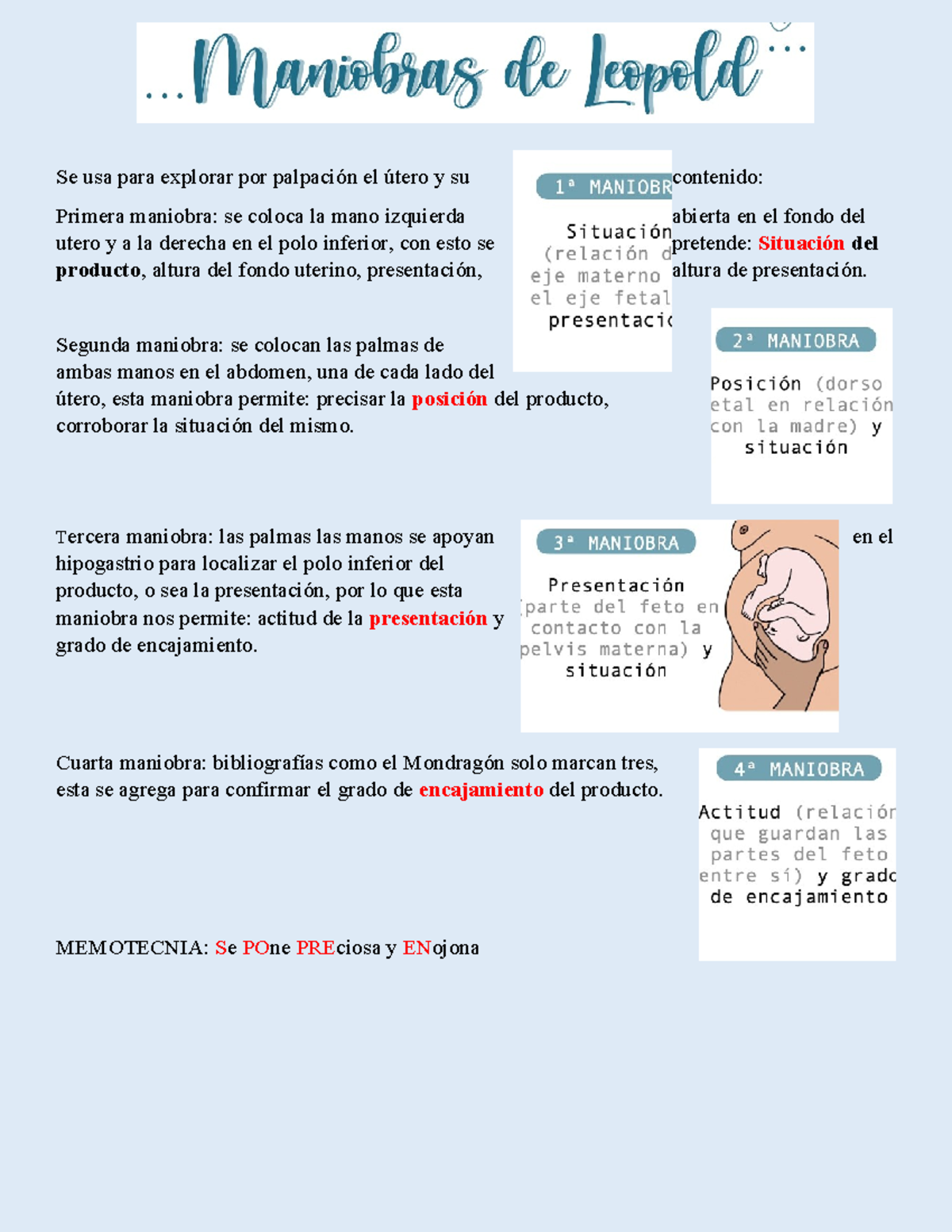 Maniobras en el parto: Técnicas y Procedimientos Esenciales - Document Preview