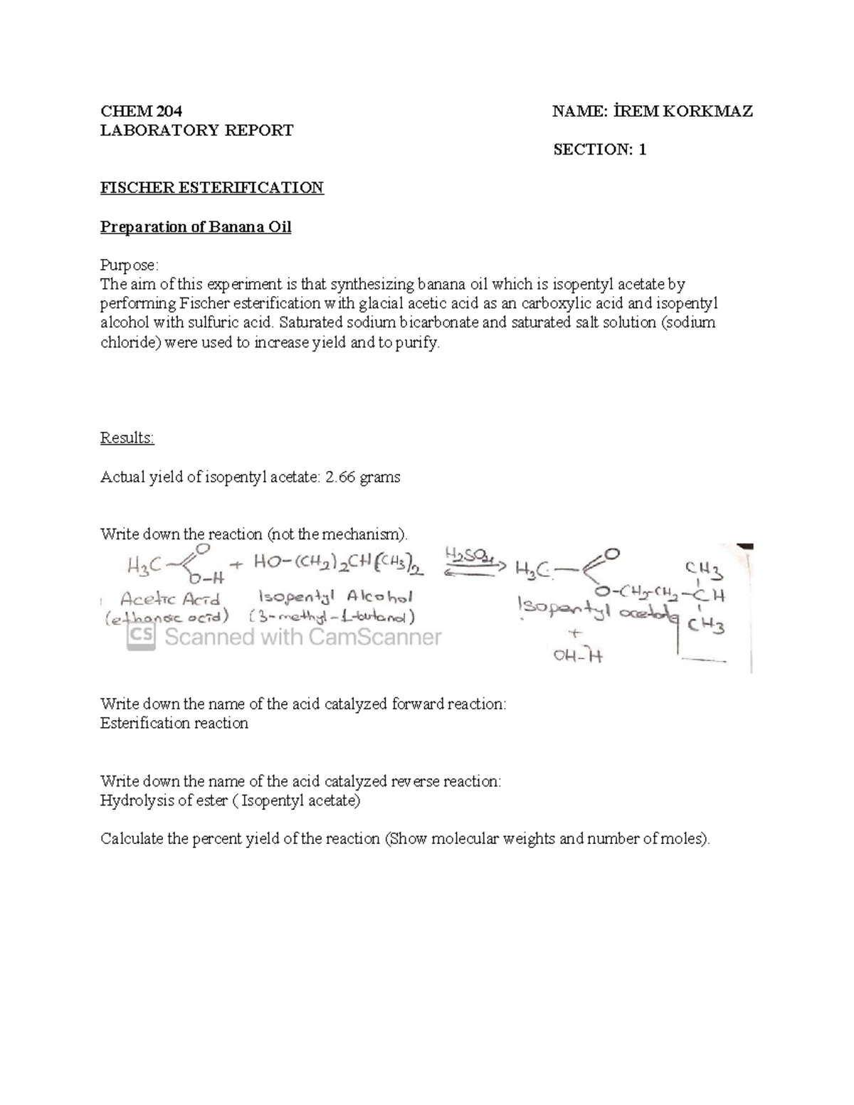 CHEM 204 Lab Report: Fischer Esterification of Isopentyl Acetate by ...