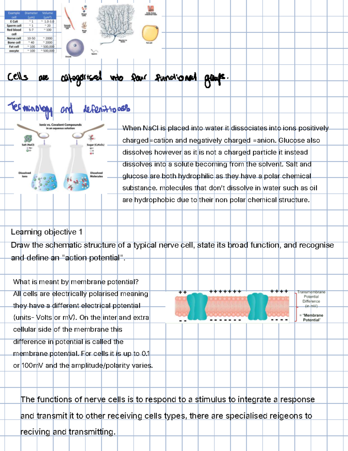 Lecture 1: Cell Structure and Function in Fluid Compartments - Studocu