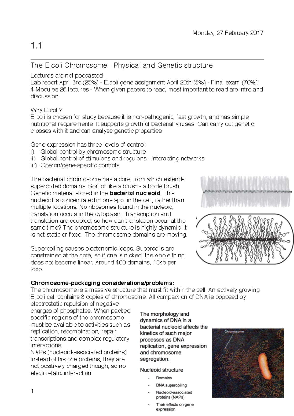 MICR335 2024 Course Outline: Molecular Microbiology Overview - Studocu