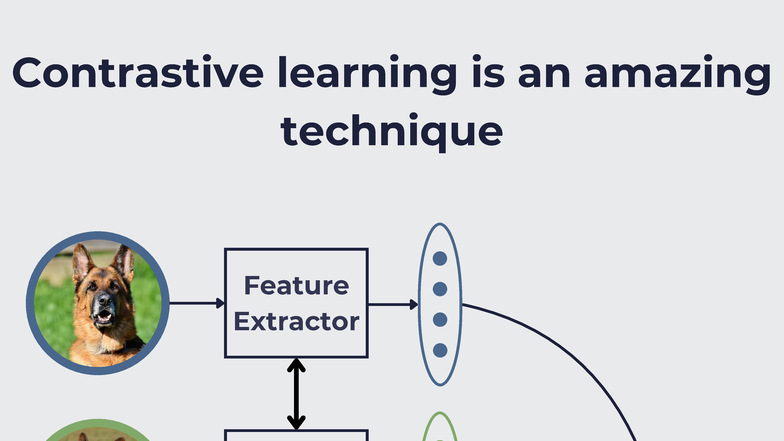 Contrastive Learning Challenges in Time Series Representations (TSRC ...