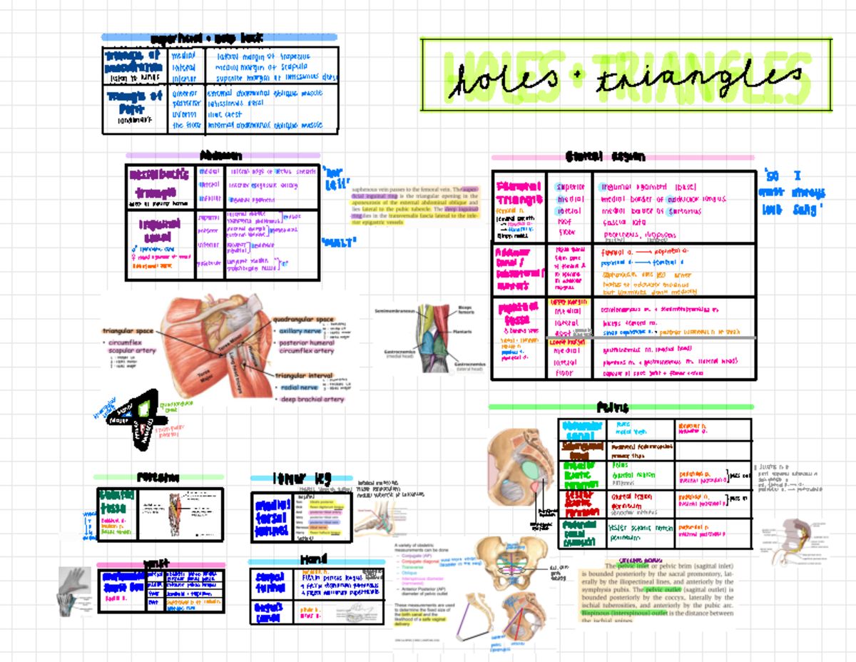 Comprehensive Study Notes for IEEE Networks (ENGR 505) Final Exam - b o ...