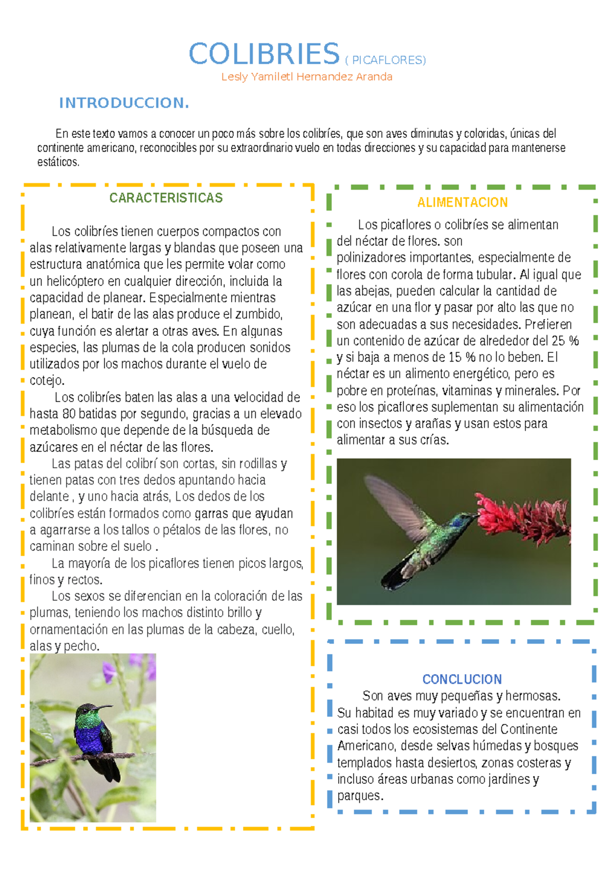 COLIBRIES (PICAFLORES) - Características y Alimentación - Studocu