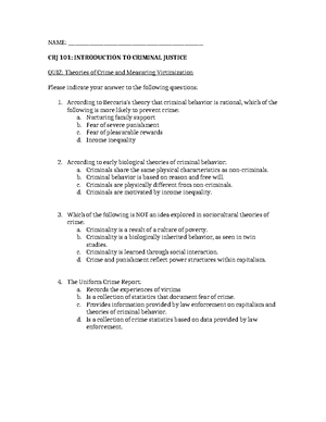 Introduction to Criminal Justice: Key Concepts and Theories Review ...