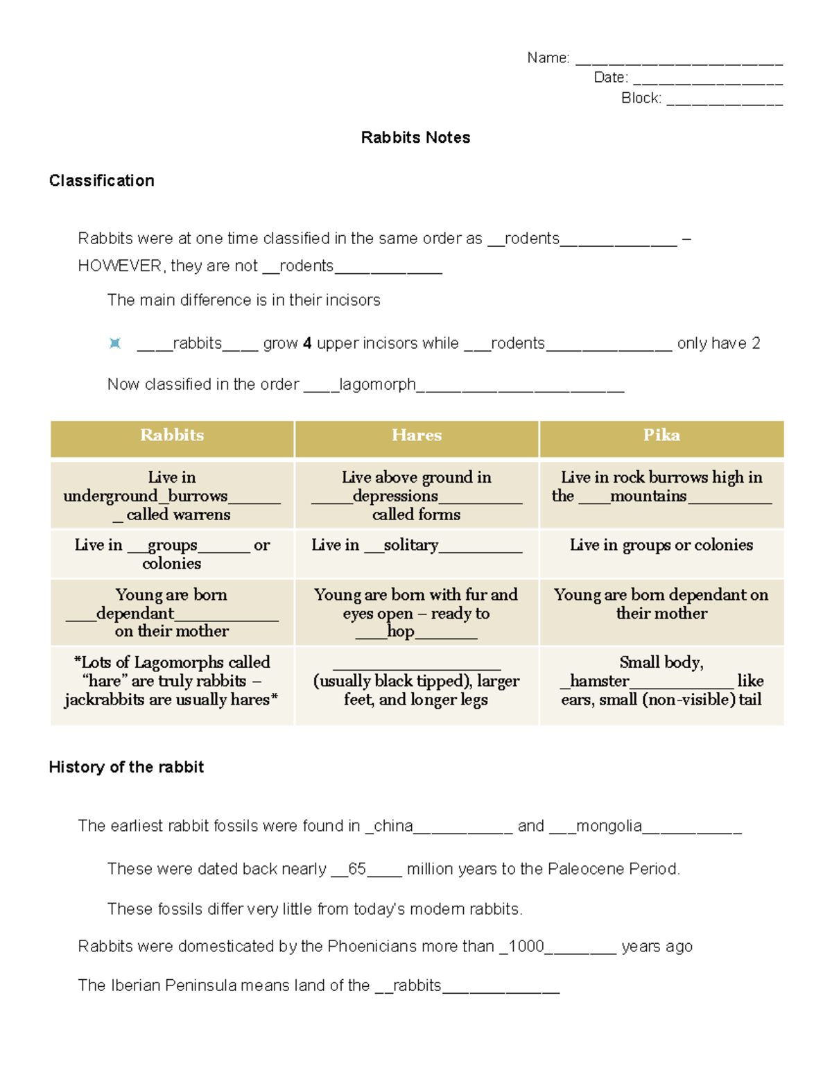 Copy of Copy of Rabbits Notes - Name: _________________________ Date ...