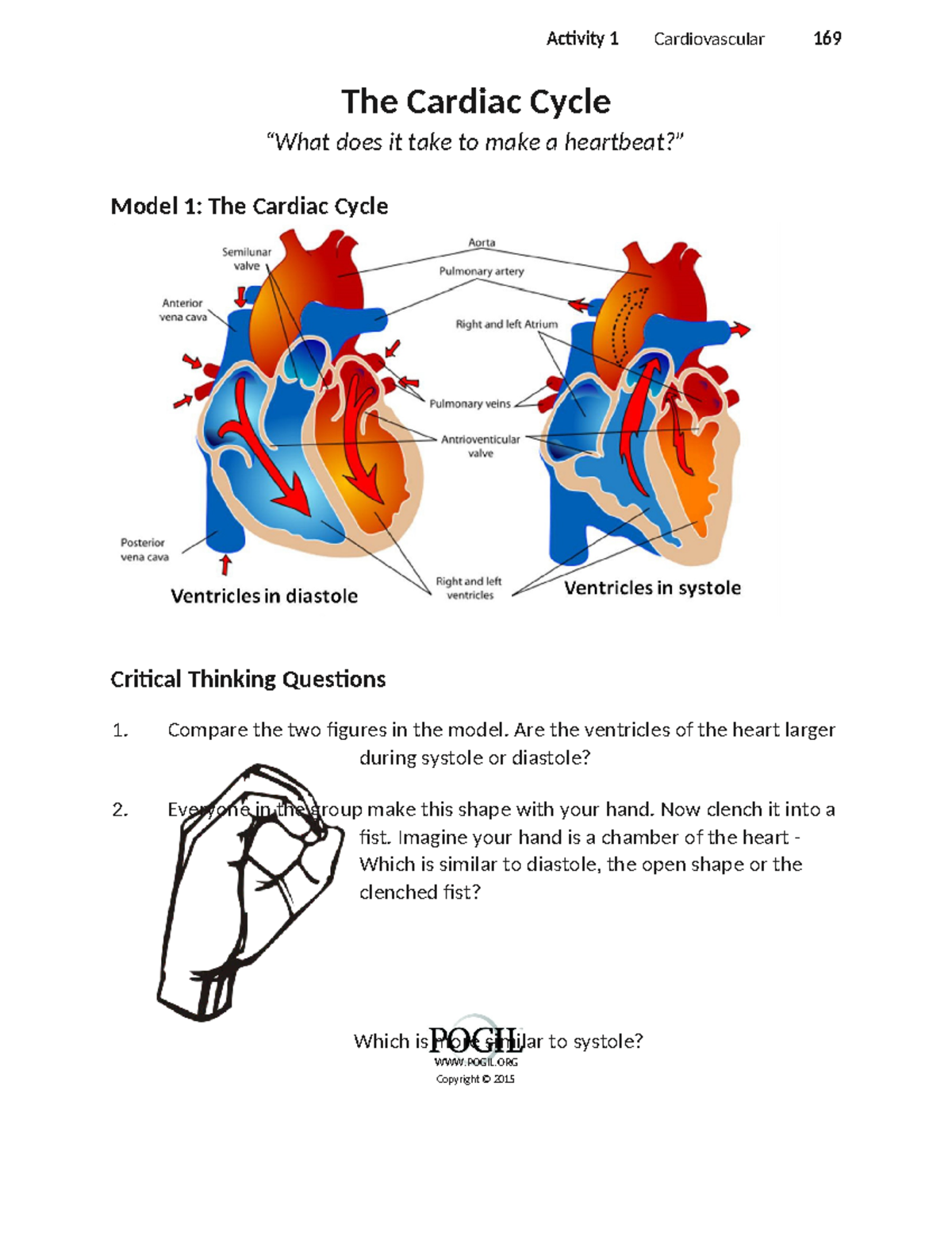 BIOL 208 Final Exam Notes on the Cardiovascular System and Cardiac ...