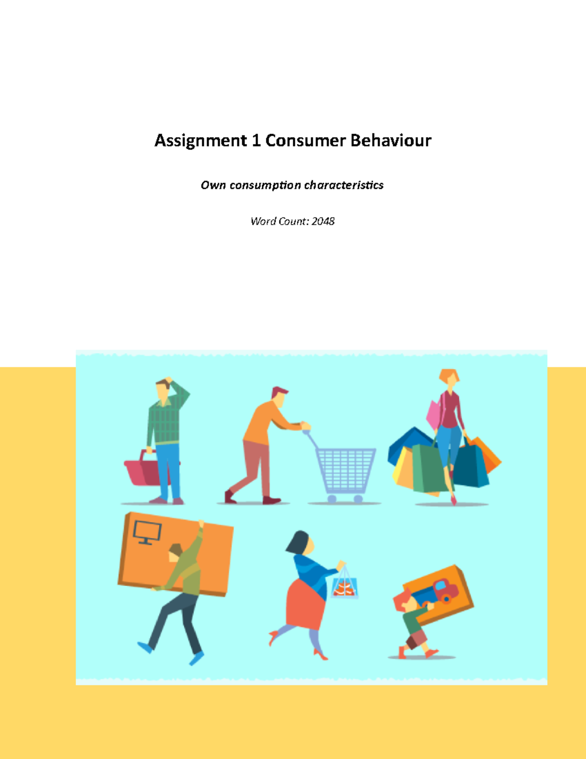 Individual Assignment CB: Analysis of My Consumer Behaviour - Studeersnel