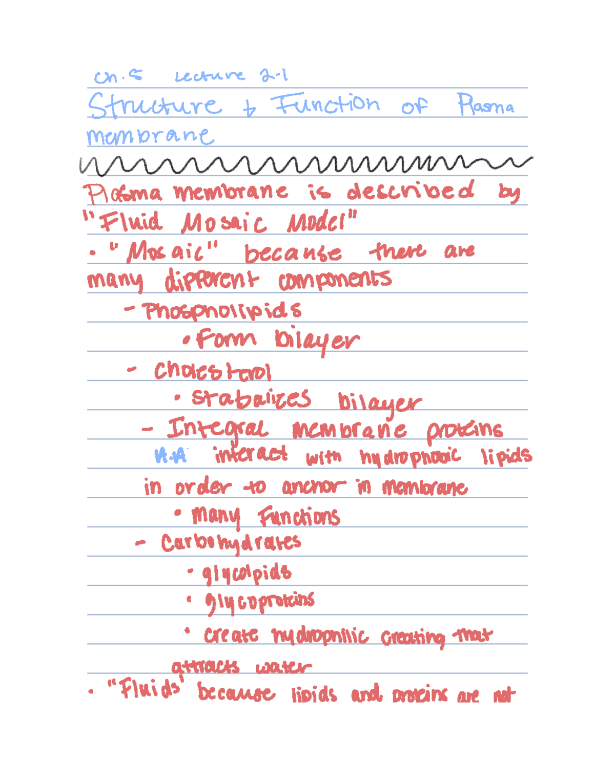 Ch 5 Lecture 2: Structure & Function of the Plasma Membrane - Studocu