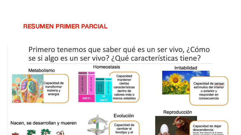 Resumen Primer Parcial Neuro 1: Estructuras y Funciones Celulares - Studocu