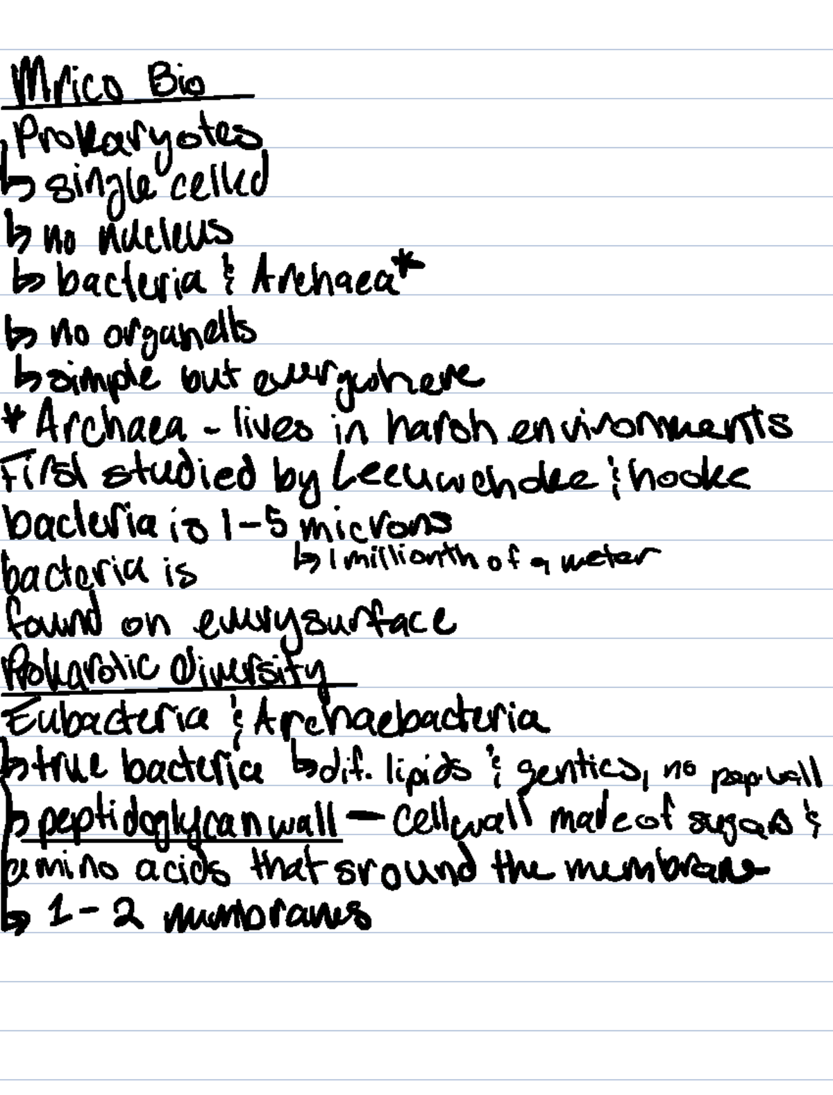 Final Exam Study Guide for BIO 101: Prokaryotes and Viruses Explained ...