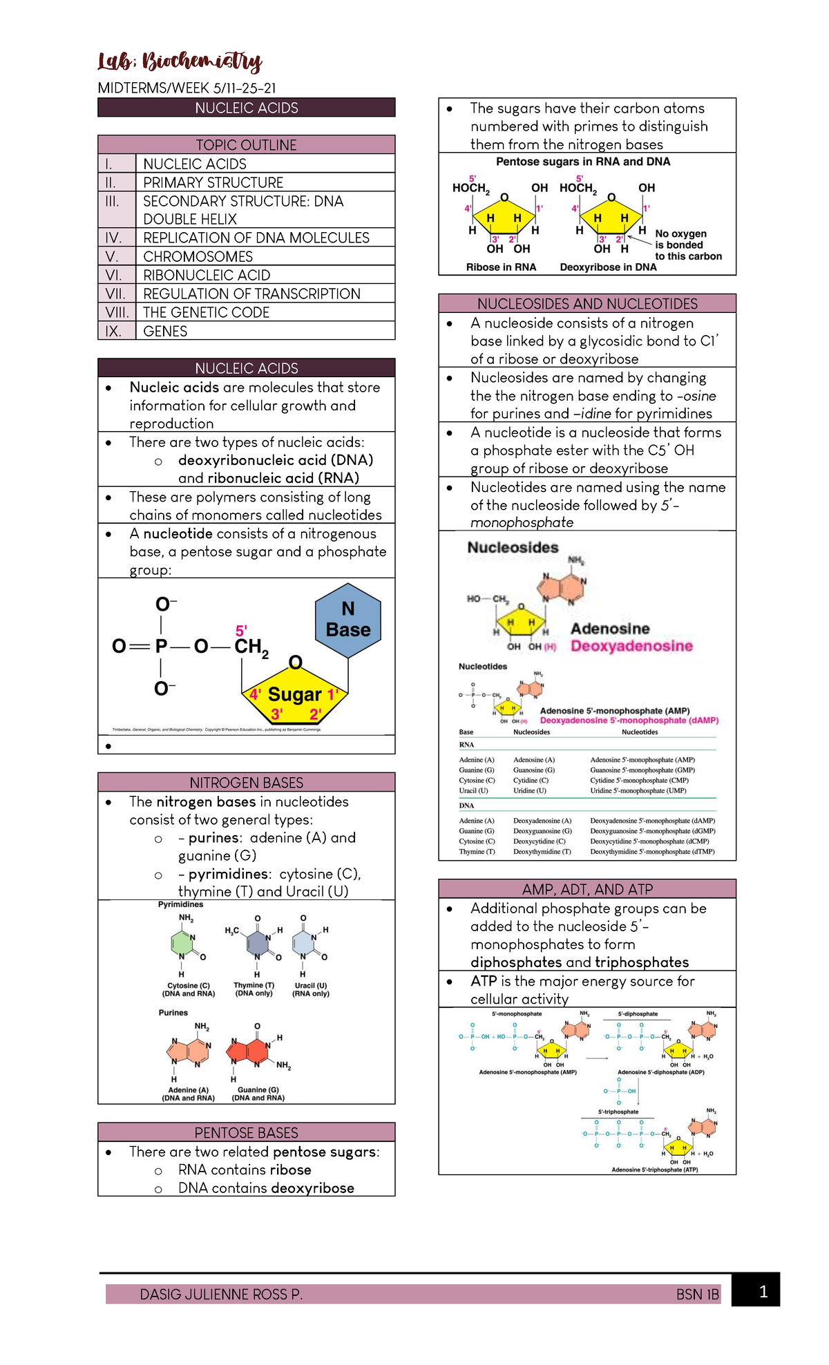 Biochem Midterm Topic: Nucleic Acids and Their Functions - Studocu